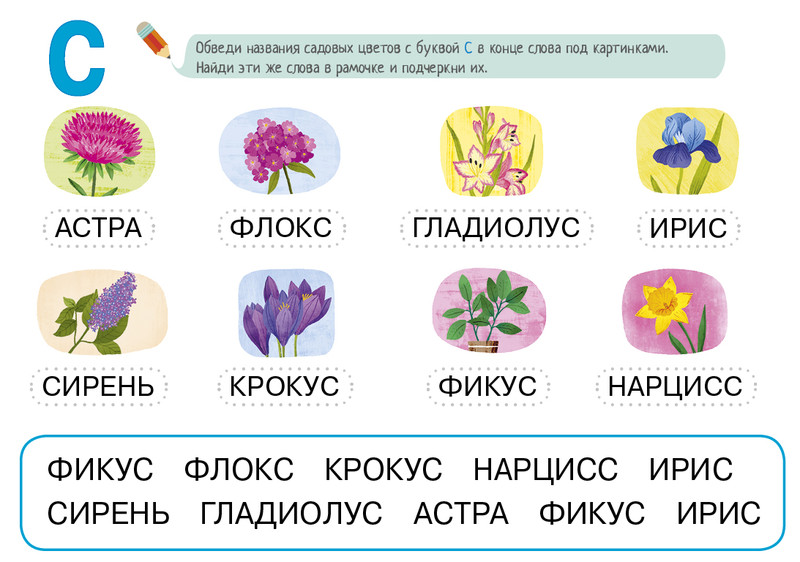 Цветок 4 буквы - wordparts.ru