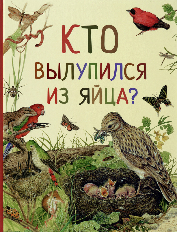 Птица и гнездо поделка - Изучаем увлекательное искусство декупажа