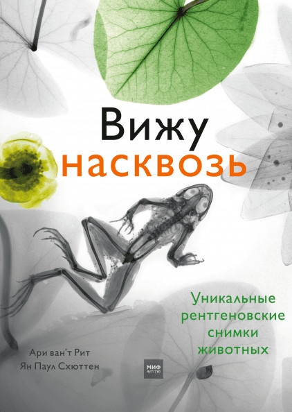 Вижу насквозь. Удивительные рентгеновские снимки животных