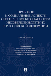 Правовые и социальные аспекты обеспечения безопасности несовершеннолетних в Российской Федерации. Монография