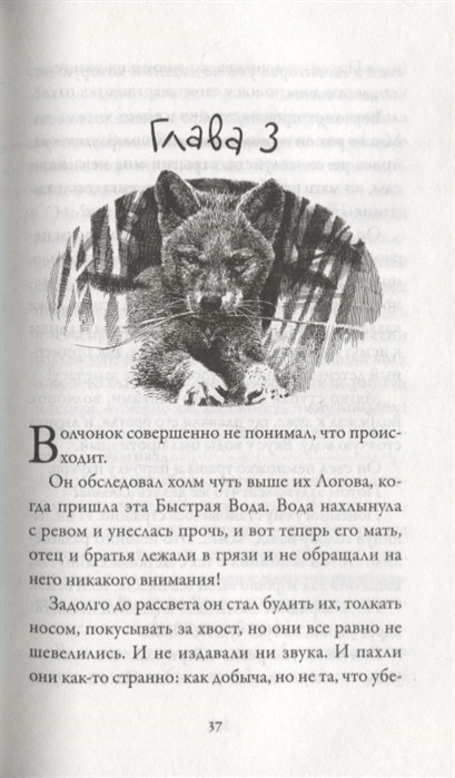 Брат волк. Книга брат волк Мишель Пейвер. Брат волк книга. М. Пейвер брат мой волк. Хроники тёмных времен животные из книги.