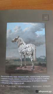 серия новогодних открыток к году синей лошади
