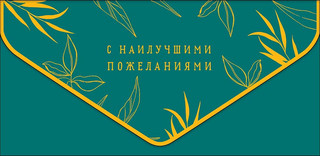 Конверт для денег 'С наилучшими пожеланиями', артикул 0216.760