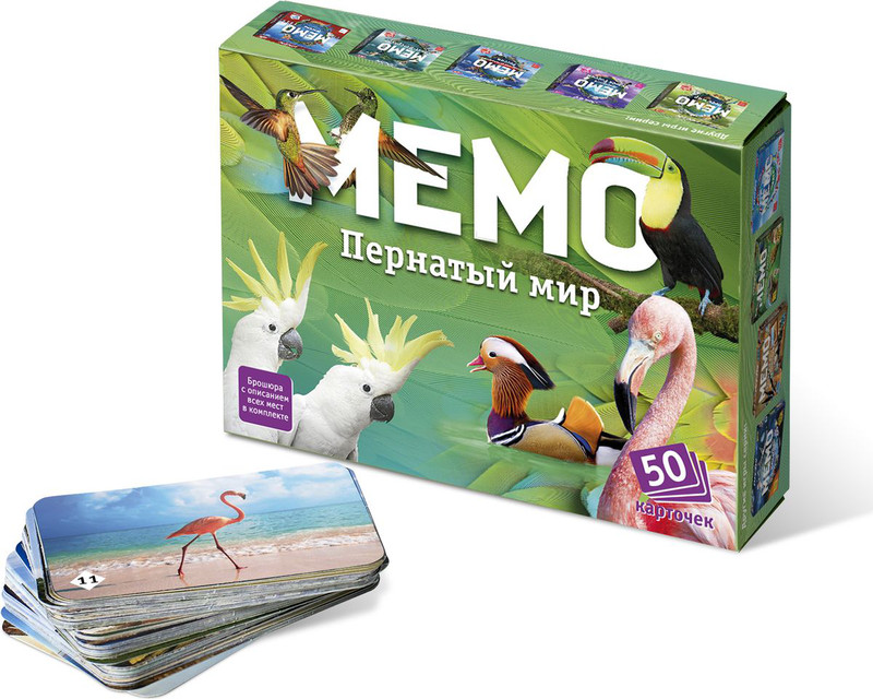 Игра мемо картинки