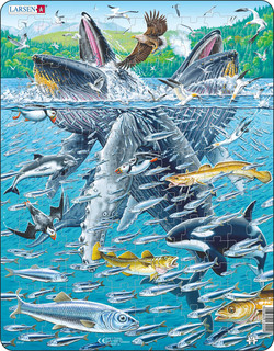 Пазл 'Горбатые киты в стае сельди', арт. FH47 Larsen, цвет разноцветный